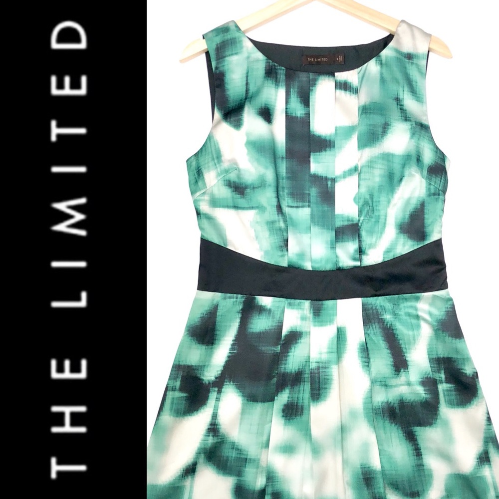 The Limited Green and Black Women's Dress